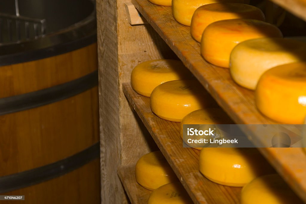 네덜란드 치즈 크기가 - 로열티 프리 0명 스톡 사진