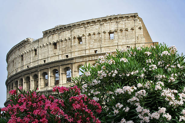 istock Roman Coliseum in flowers 471047821