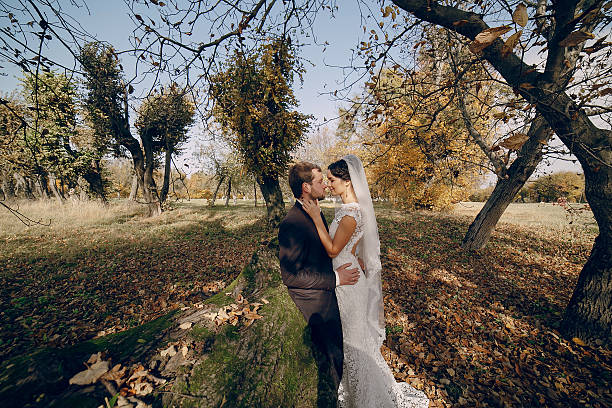 istock Wedding couple in love outdoors 471048112