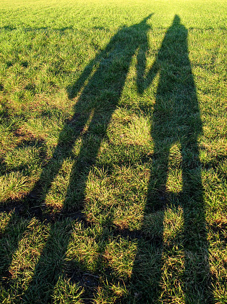 тень двух влюбленных - holding hands shadow letter m couple стоковые фото и изображения