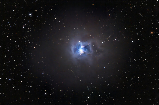 The Iris Nebula, these clouds of interstellar dust and gas are 1300 light-years away in the constellation Cepheus. This nebula is cataloged as NGC 7023 The iris shows dusty nebular material surrounds a massive, hot, young star The dominant color of the nebula is blue, characteristic of dust grains reflecting starlight. Dark clouds of dust and cold  molecular gas are also present.
