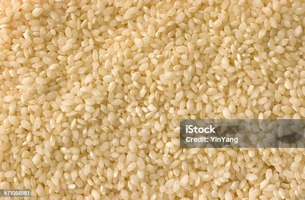 Foto de Paella Espanhola Arroz e mais fotos de stock de Alimentação Saudável - Alimentação Saudável, Arroz - Alimento básico, Branco