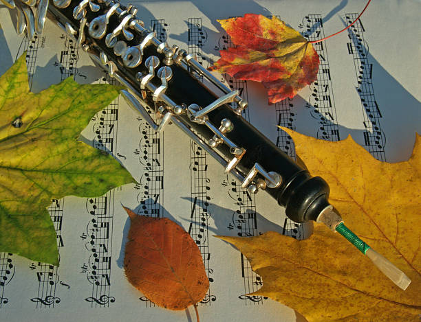 Oboé e colorido outono folhas em harmonia, com músicas página - foto de acervo