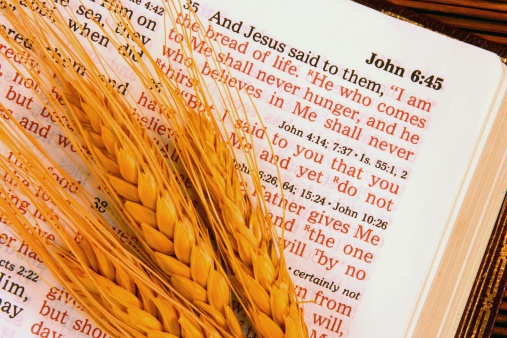 Open Bible showing Scripture from John 6:35 where Jesus is saying \