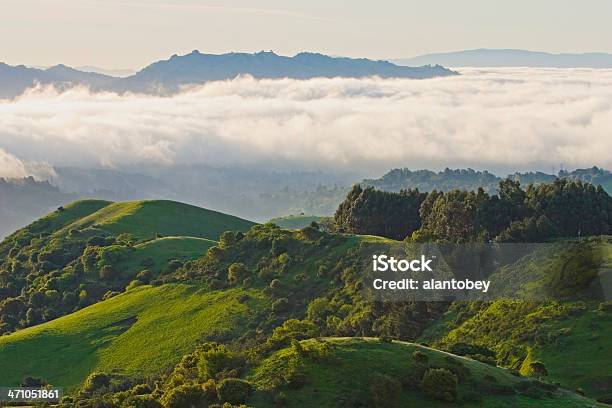 San Francisco Area Fog And Green Springtime Hills Stock Photo - Download Image Now - East Bay Regional Park, Tilden Regional Park, San Francisco - California