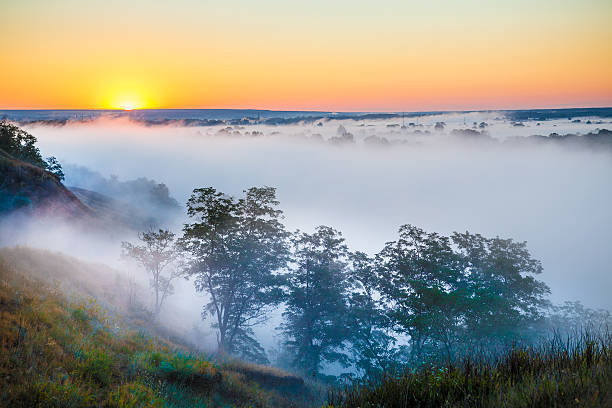 istock Misty dawn over Valley and the forest 471052852