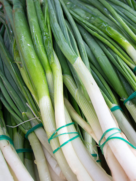 istock bunches of fresh green onions 471052998