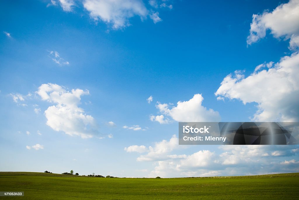 Cenário Natural de verão - Foto de stock de Azul royalty-free