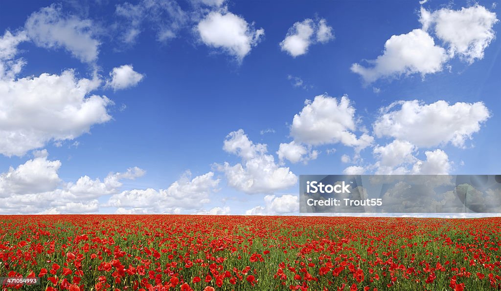 Paysage - Photo de Ciel sans nuage libre de droits