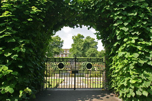 View of Kensington Gardens through gate between hedges, London, UK.