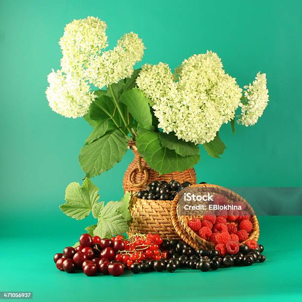 Bouquet Di Ortensie E Bacche - Fotografie stock e altre immagini di Abbondanza - Abbondanza, Alimentazione sana, Ambientazione tranquilla