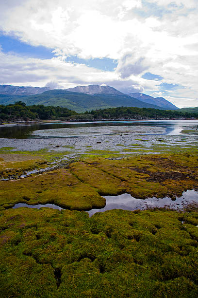 Tierra Del Fuego Black Lagoon Argentina Laguna Negra, beautiful landscape, National Park Tierra del Fuego, South Andes Mountain Range in the background, Ushuaia, Argentina. tierra del fuego province argentina stock pictures, royalty-free photos & images