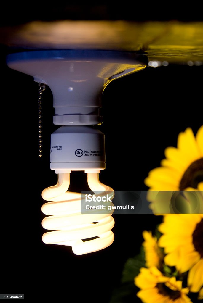 Des fleurs Power - Photo de Alimentation électrique libre de droits