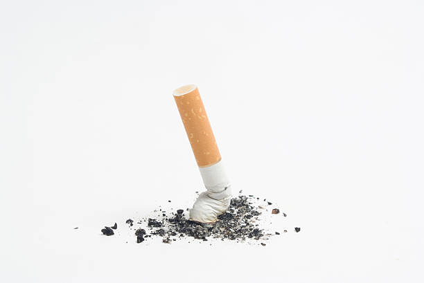 stubbed out cigarette stubbed out cigarette on white animal lung stock pictures, royalty-free photos & images
