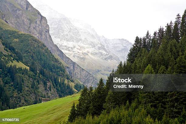 Suíça Alpes Europeus - Fotografias de stock e mais imagens de Montanha - Montanha, San Bernardino - Suíça, Aldeia