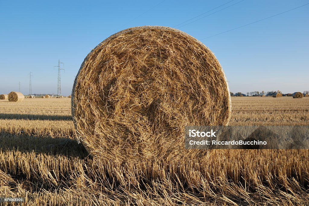 Fardo de palha, Briona (Novara) Itália - Royalty-free Agricultura Foto de stock