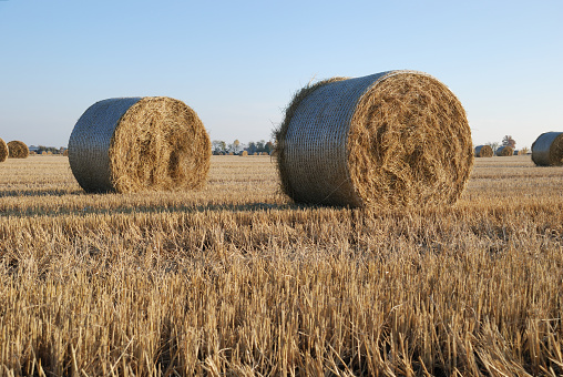 hay bale in provence