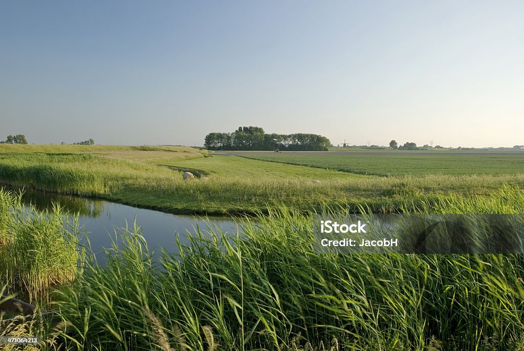 オランダ Polder シーン - 堤防のロイヤリティフリーストックフォト