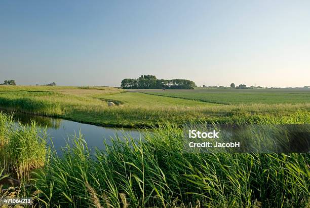 オランダ Polder シーン - 堤防のストックフォトや画像を多数ご用意 - 堤防, 干拓地, オランダ