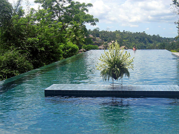 piscina infinity che si affaccia sulla scogliera - luxury hotel palm tree lush foliage asia foto e immagini stock