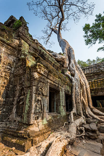 istock Ta Prohm temple in Siem reap , Cambodia 471064780