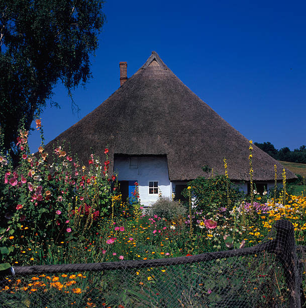 thatched roof house with flower garden (XXL) stock photo