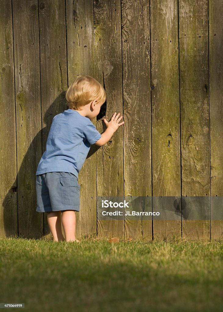 Nosey Маленькая Сосед - Стоковые фото Забор роялти-фри