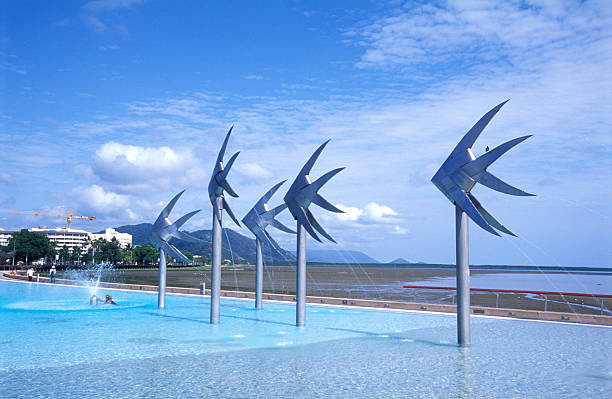 cairns piscina - cairns foto e immagini stock