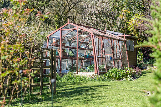istock Glasshouse and garden amongst trees 471065580
