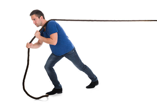 Free picture: handsome, man, posing, holding, rope, person, portrait ...