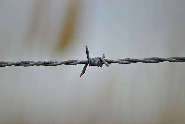 istock close up of barbed wire fence, blurry background 471065774