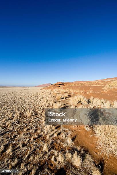Paisagem Do Deserto - Fotografias de stock e mais imagens de Abandonado - Abandonado, Ajardinado, Ao Ar Livre