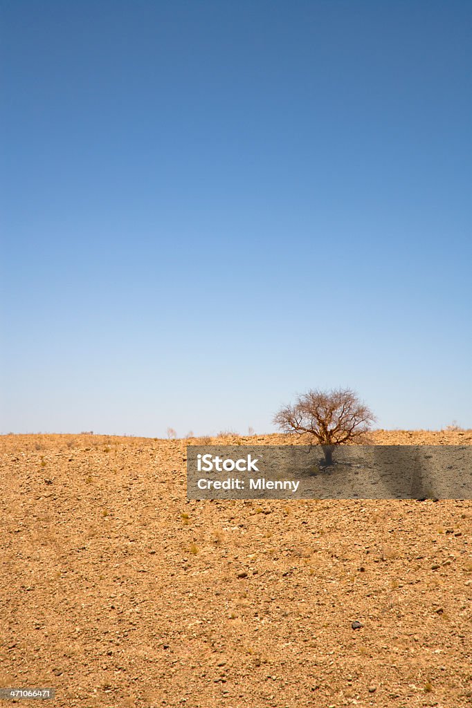 Albero solitario  - Foto stock royalty-free di Abbandonato