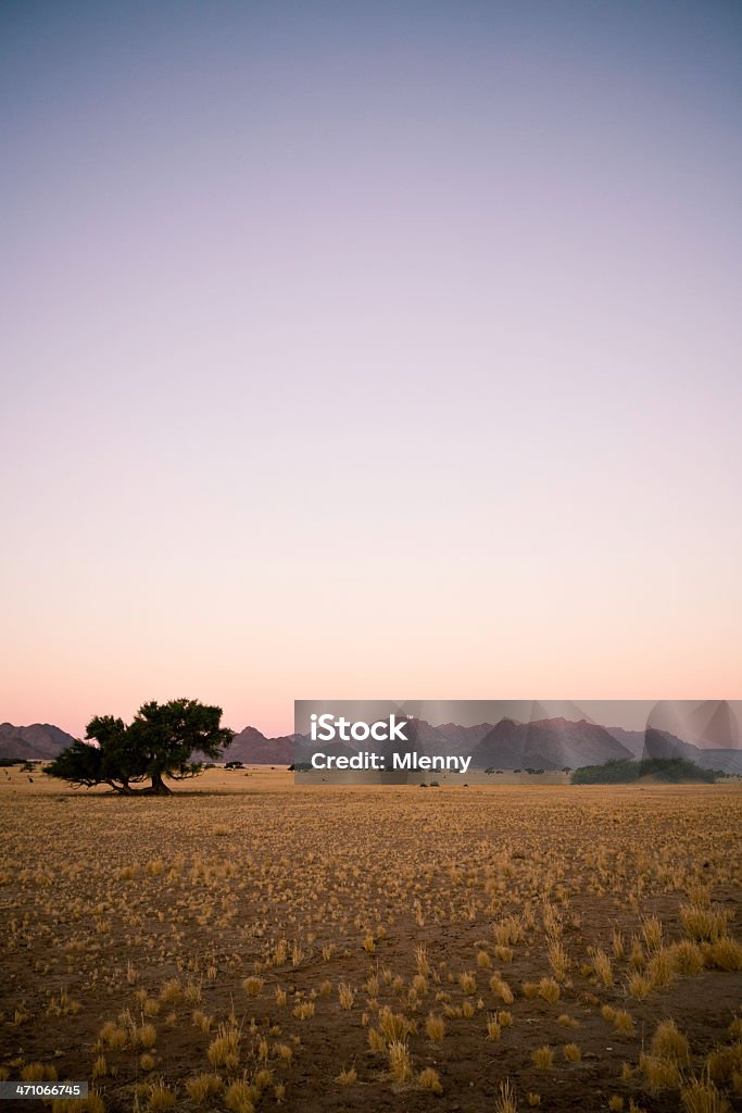 Scène Namibie Afrique au crépuscule - Photo de Afrique libre de droits