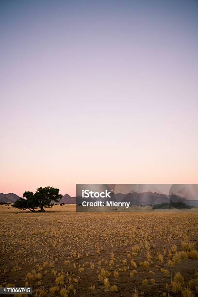 Photo libre de droit de Scène Namibie Afrique Au Crépuscule banque d'images et plus d'images libres de droit de Afrique - Afrique, Beauté, Beauté de la nature