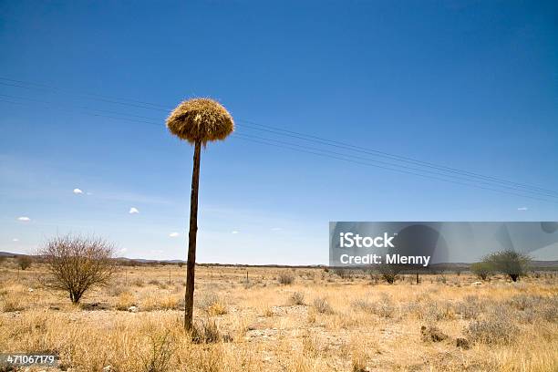 Nido De Ave Sobre Electricidad Línea Foto de stock y más banco de imágenes de Aire libre - Aire libre, Arbusto, Azul