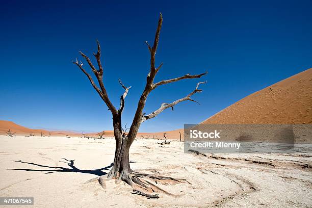 Dead Vlei Surreal Paisagem Do Deserto - Fotografias de stock e mais imagens de Deserto - Deserto, Morte, Reclusão