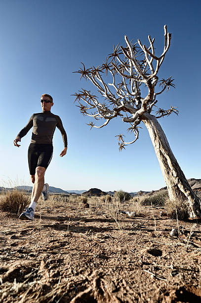 cross-country sprint passé kokerboom dans le désert - sportsman tree people recreational pursuit photos et images de collection