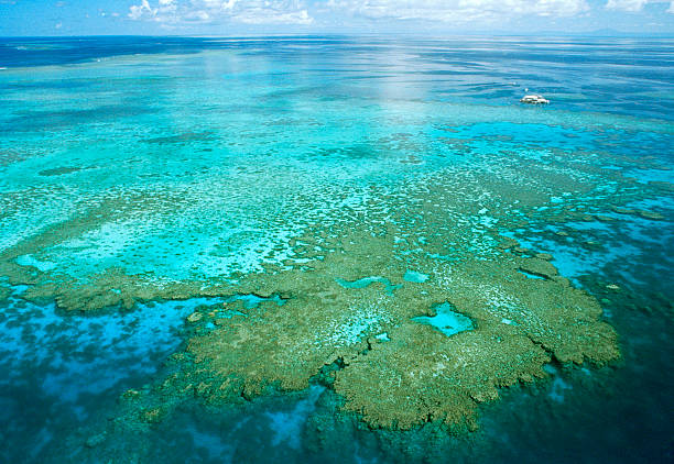 istock Aerial View Of Great Barrier Reef 471069123