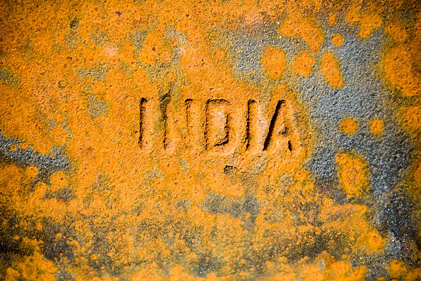 índia de ferrugem - rust fungus sign rust rusty - fotografias e filmes do acervo