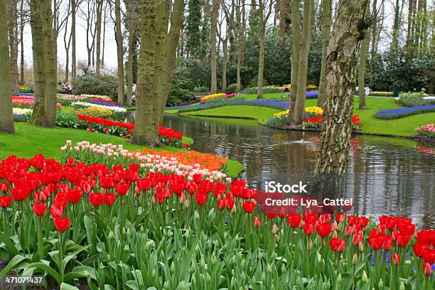 Garten Blumen 23 Stockfoto und mehr Bilder von Aufführung - Aufführung, Feld, Keukenhof-Gärten