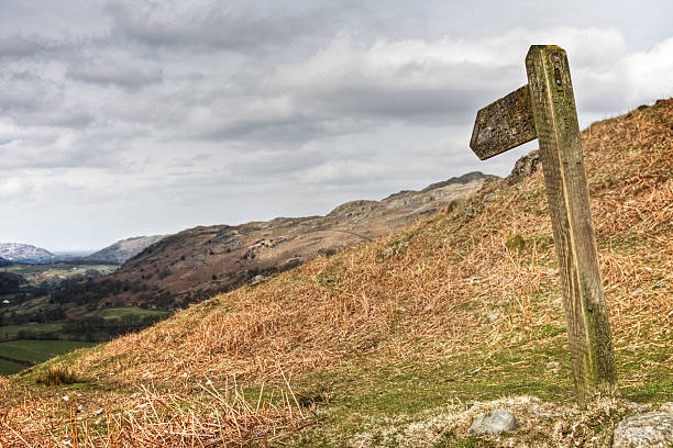 istock Wooden Fingerpost 471071465