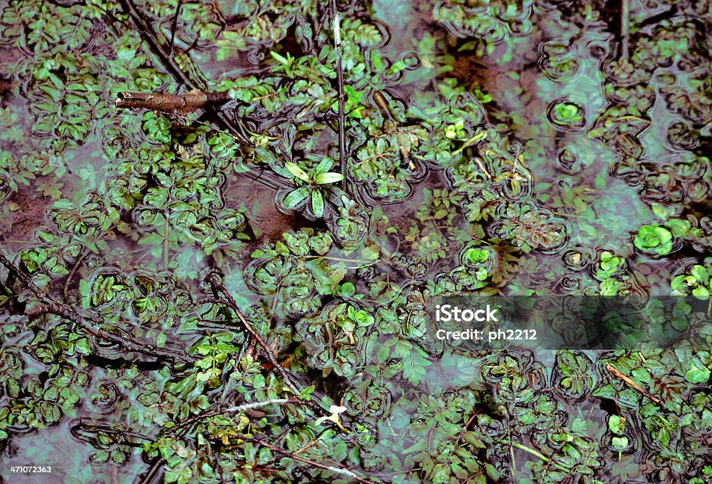 Kleinen Teich – Natur Hintergrund - Lizenzfrei Bildhintergrund Stock-Foto