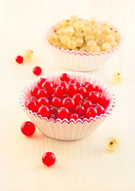 Autumn healthy dessert. Two paper caps with white and redberries of redcurrant and whitecurrant on the old wooden table background. Fall season. Ingredients for sweet jelly.