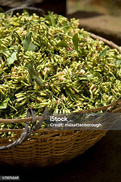 Cravo Da Índia Secagem Em Um Cesto - Fotografias de stock e mais imagens de Cravo-da-Índia - Cravo-da-Índia, Aiurveda, Botão - Estágio de flora