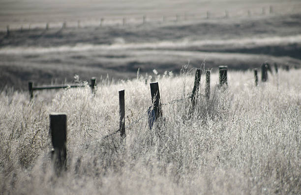 istock Country Fence 471074709