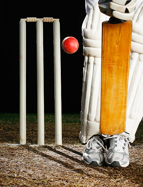 istock Cricket Batsman at the Crease 471074993