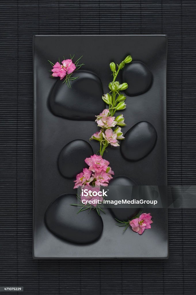 Rocce e fiori - Foto stock royalty-free di Asia