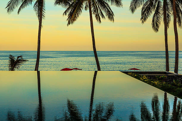 istock Palm treesl on island of Koh Samui 471075602