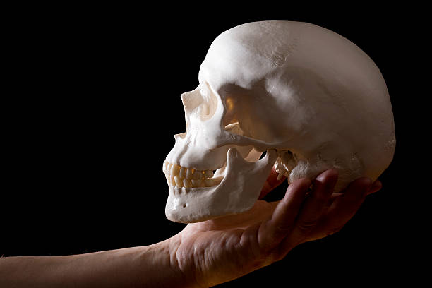 istock Human skull on male hand on black 471076457